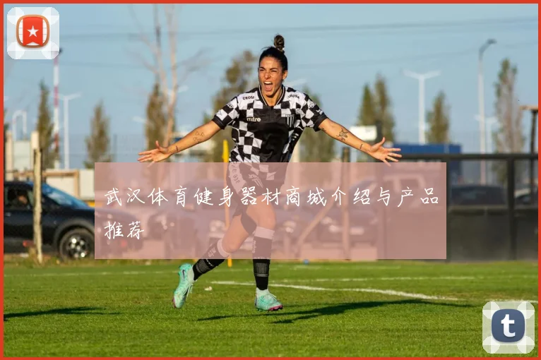 武汉体育健身器材商城介绍与产品推荐