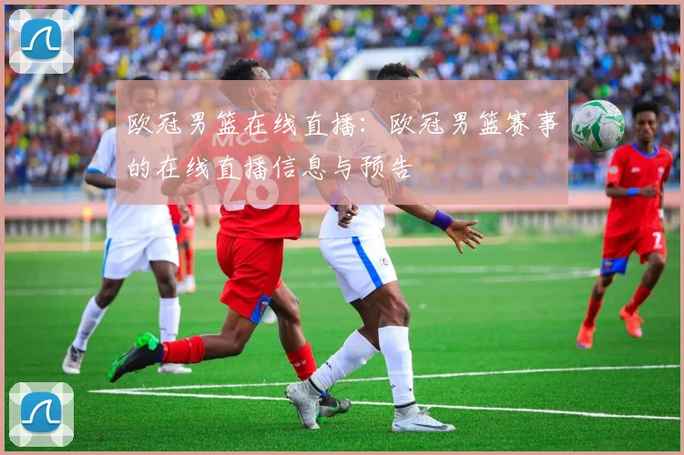 欧冠男篮在线直播:欧冠男篮赛事的在线直播信息与预告